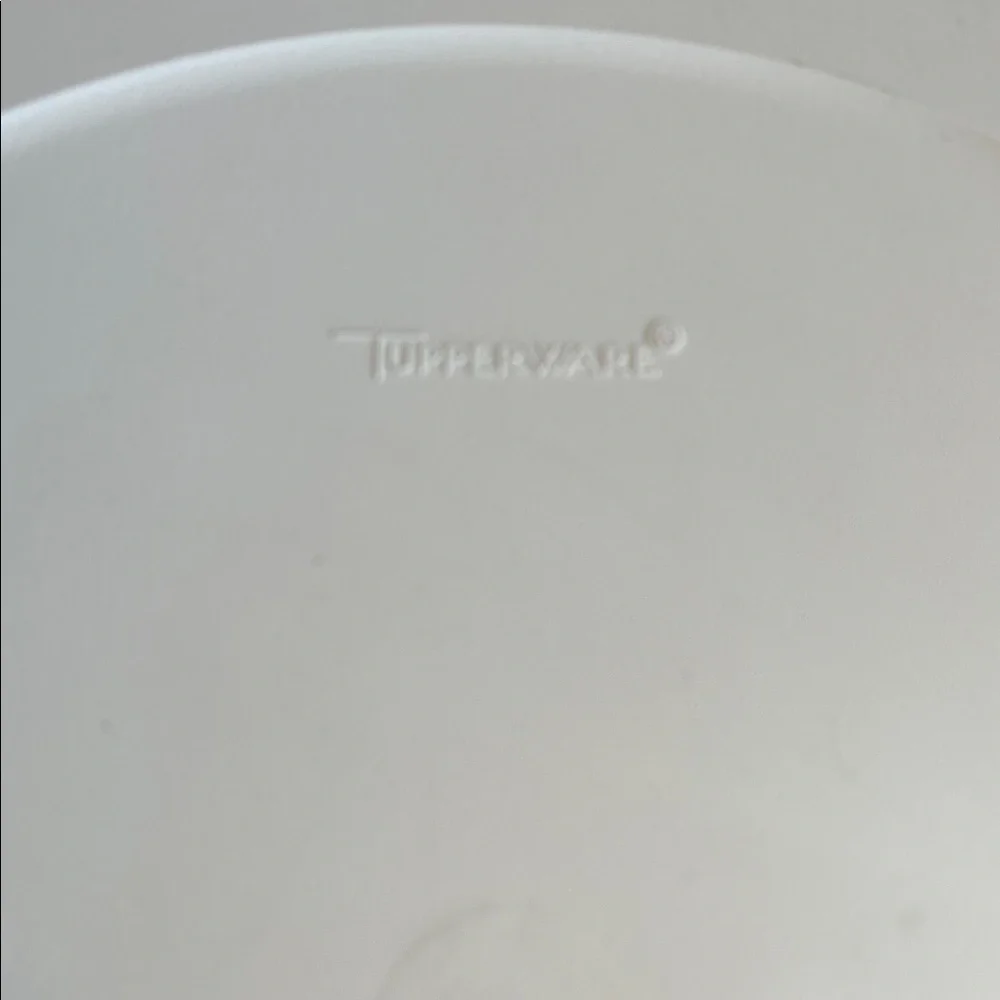 Vintage Tupperware Divided Veggie Dip Tray #1665-5 & Dip Bowl w/lids Almond